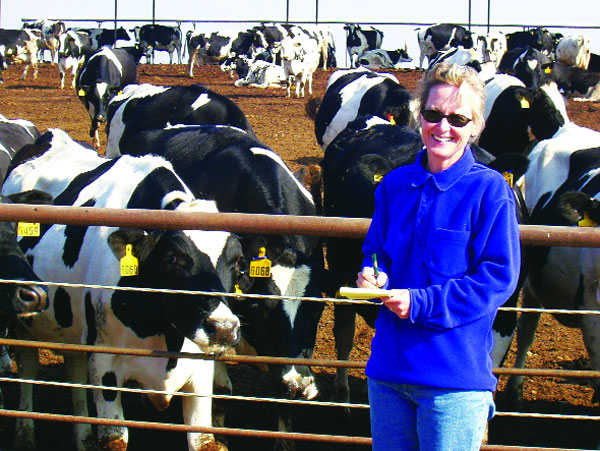 Ngành chăn nuôi bò sữa tại Mỹ đang khốn đốn do nguồn cung về sữa đang gia tăng mạnh mẽ trong khi lượng cầu lại giảm