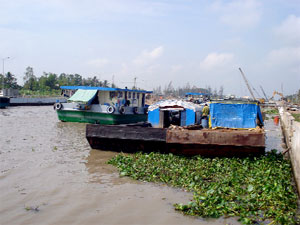 Ghe tàu đậu kín không biết đâu luồng lạch